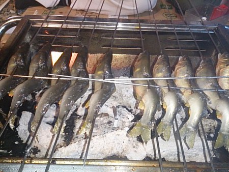 BBQ♪