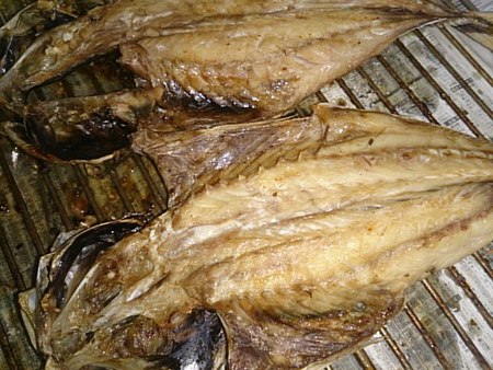 トロアジ