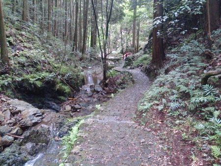 五宝平自然園
