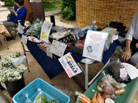 飛騨国分寺薬師如来供と八日市