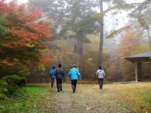 今日のポールウォーキング体験・講習会