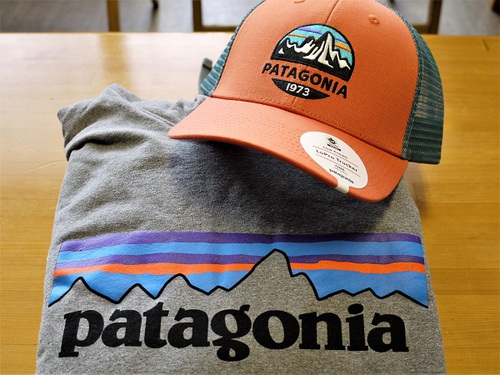 patagoniaスウェットパーカー