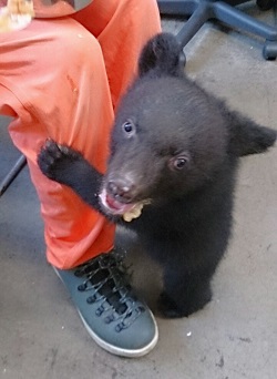 お食事中☆