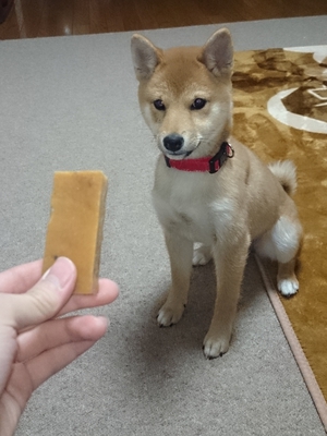 食いつき最高☆