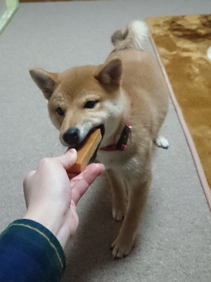 食いつき最高☆