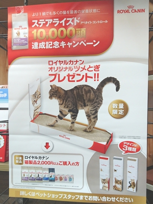 ロイヤルカナン愛用猫ちゃんへ