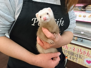 初のお風呂♪＋お嫁に行きました♪