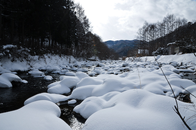 今日の秋神川【雪中だより】