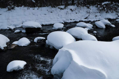 今日の秋神川【雪中だより】
