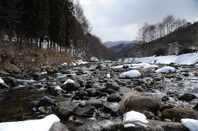 今日の秋神川【風吹く】