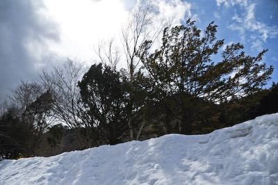 今日の秋神川【風吹く】
