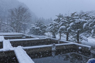 今日の秋神川【雪再び】