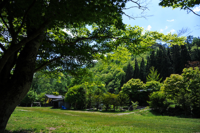 今日の秋神川【夏めく】