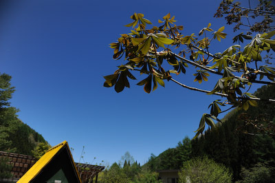 今日の秋神川