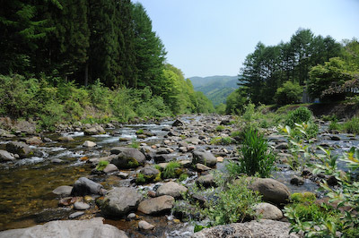今日の秋神川【6月のススメ】