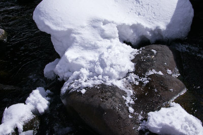 今日の秋神川【雪負ける】