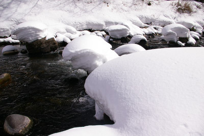 今日の秋神川【雪負ける】