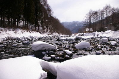 今日の秋神川