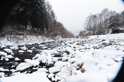今日の秋神川【雪積もる】