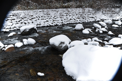 今日の秋神川【雪積もる】
