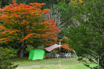 今日の秋神川【紅葉遅め】