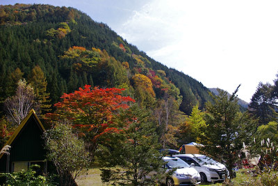 今日の秋神川