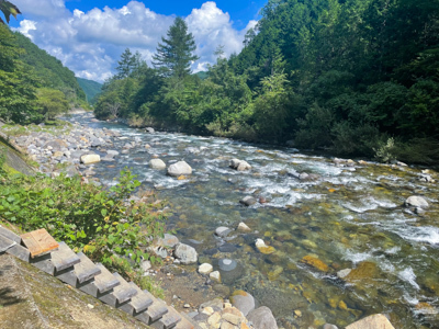 今日の秋神川【秋の気配】