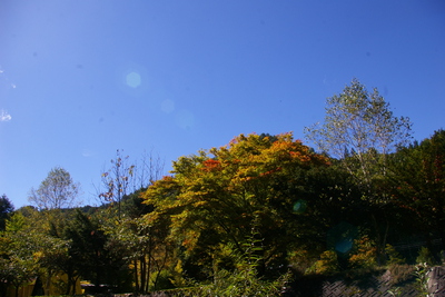 今日の秋神川