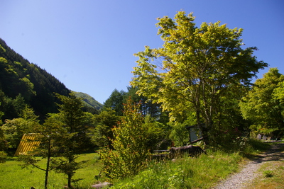 今日の秋神川