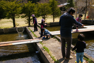 今日の秋神川