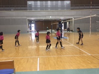 新たなスタート