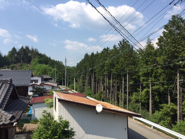 暑さを煽る　蝉の声・・・