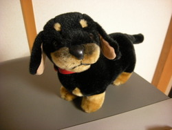 子犬