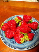 紅ほっぺ