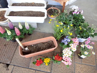 花植えましたぞいっっ！！