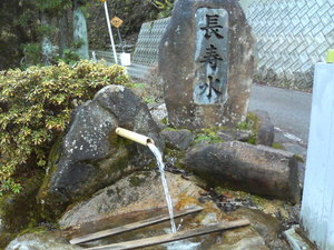 長寿水