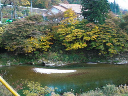 明日は・・・・・