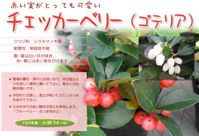 花ひろばさんへ・・・