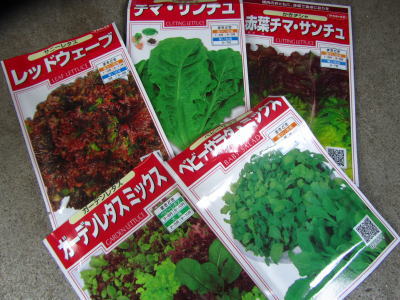 プランター菜園