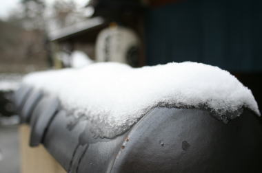 今朝も雪。