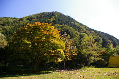 紅葉日記