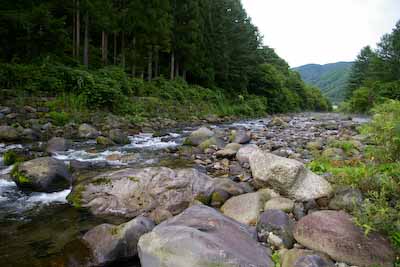今日の秋神川