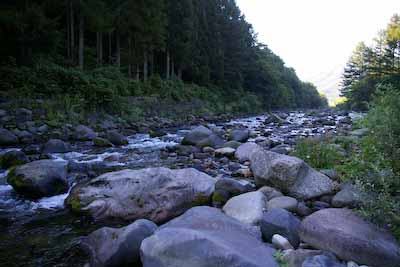 今日の秋神川