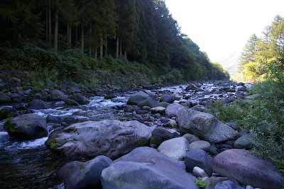 今日の秋神川