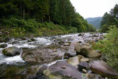今日の秋神川