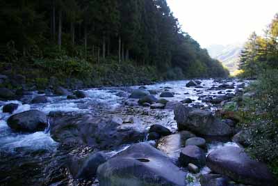 今日の秋神川
