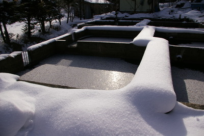 今日の秋神川