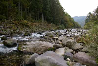 今日の秋神川