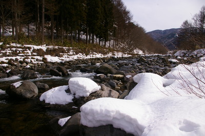秋神川解禁