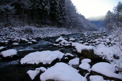 今日の秋神川